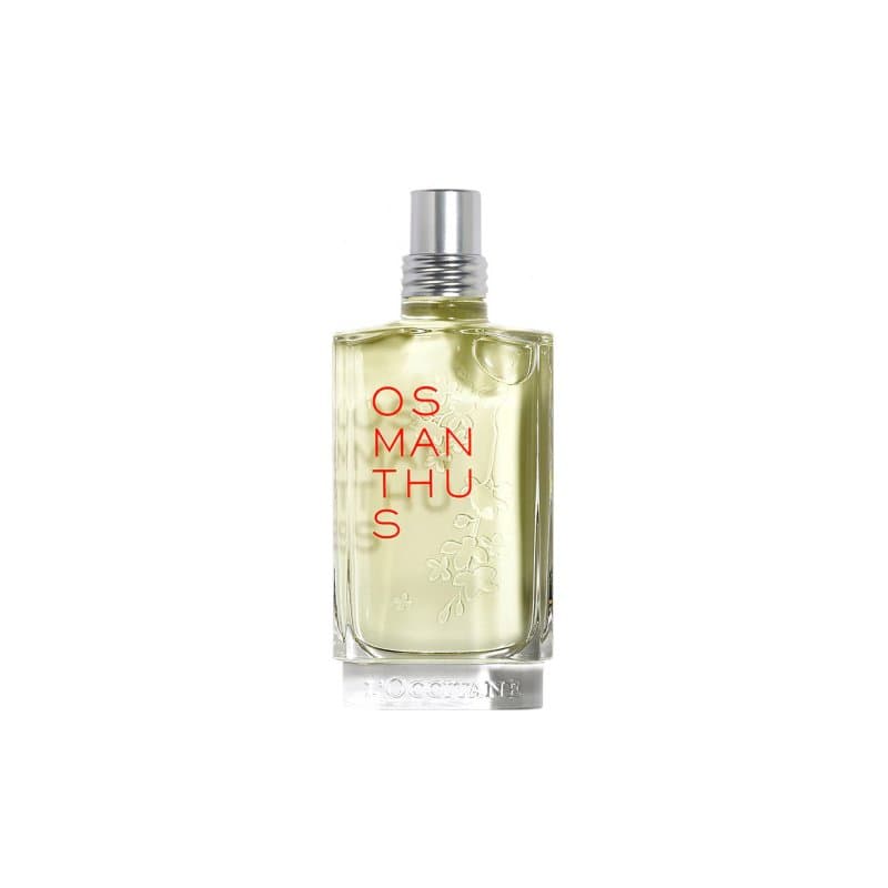 Osmanthus 