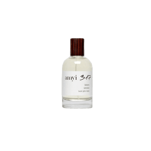 Amyi 3.17