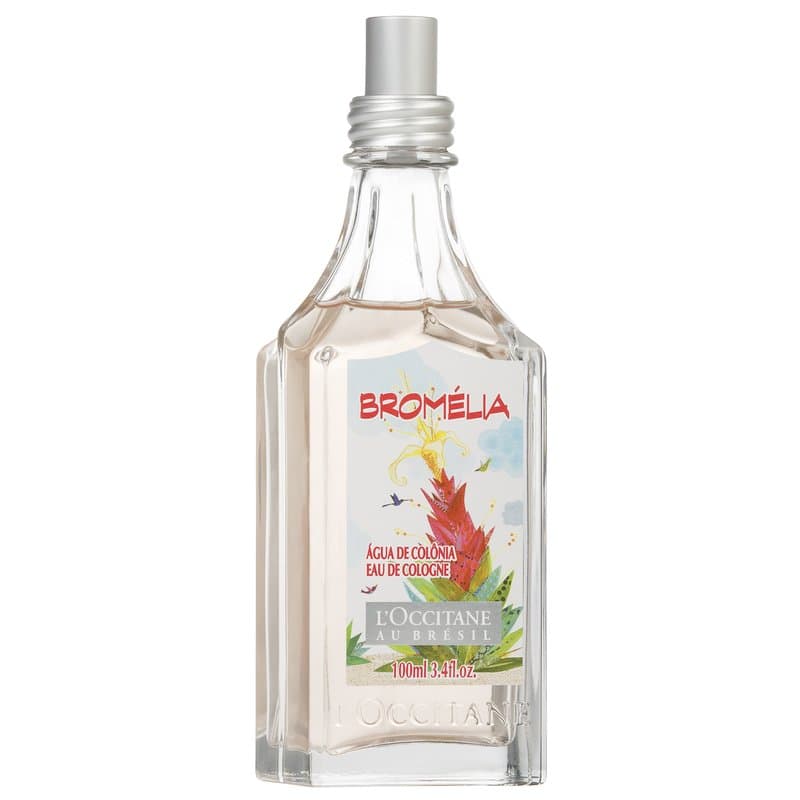 Bromélia